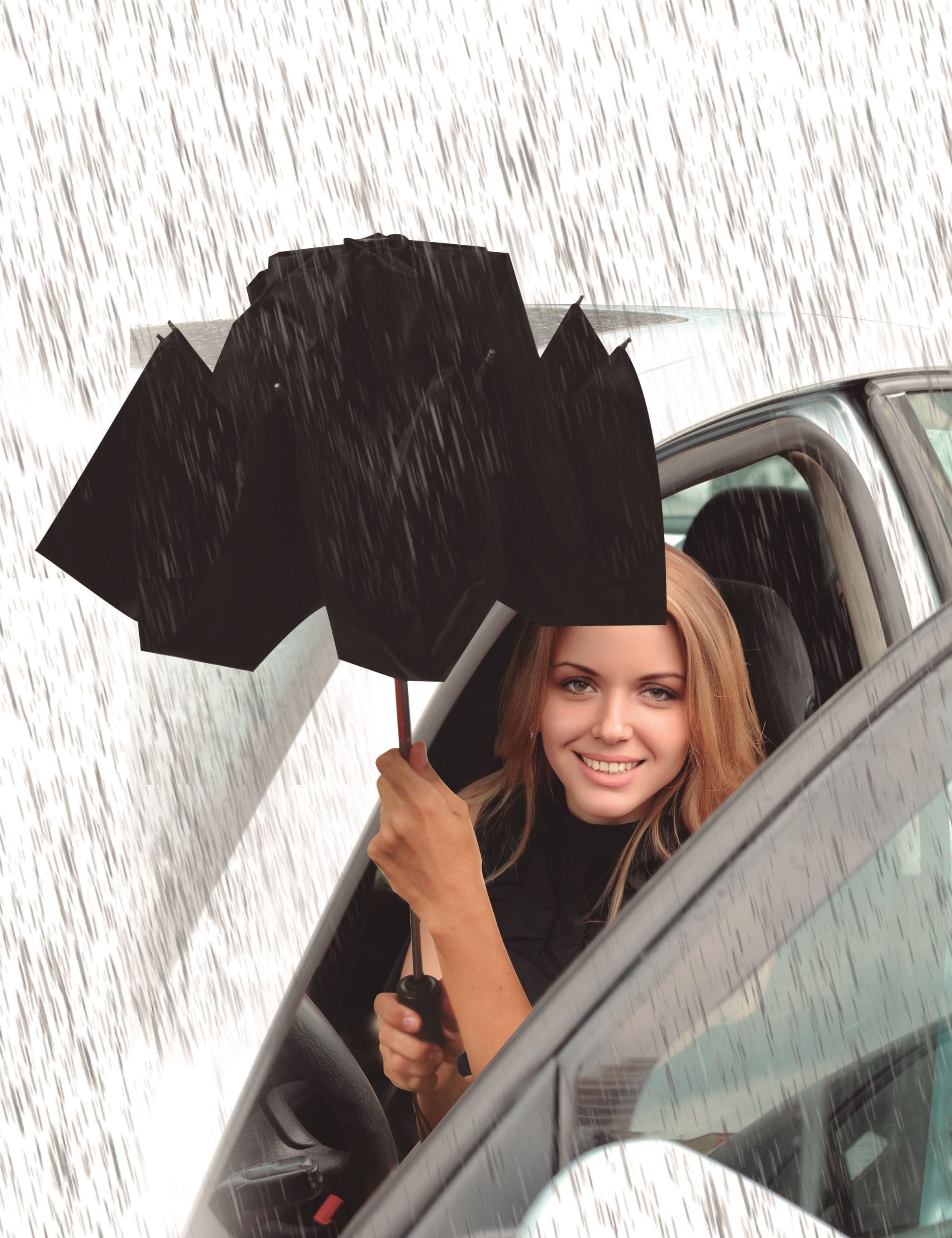 Wonderdry Regenschirm Compact jetzt bei Weltbild.de bestellen