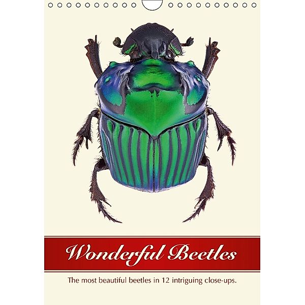 Wonderful Beetles (Wall Calendar 2018 DIN A4 Portrait), Wildlife Art Print