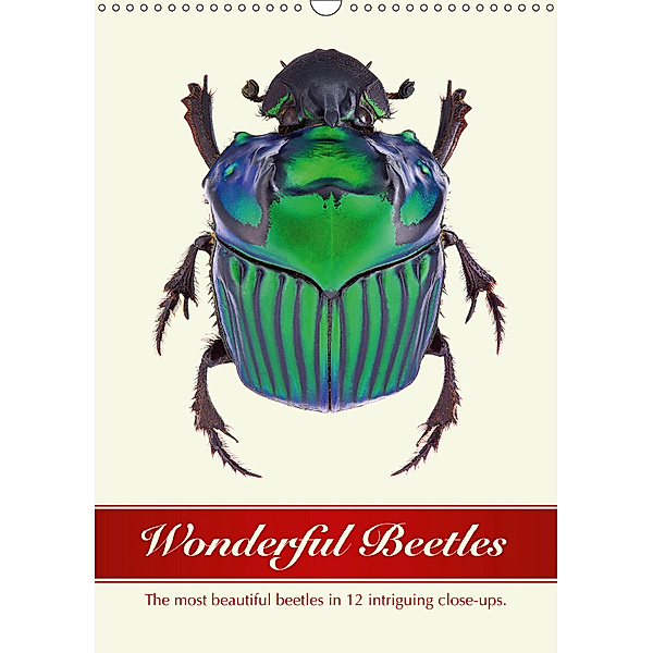 Wonderful Beetles (Wall Calendar 2019 DIN A3 Portrait), Wildlife Art Print