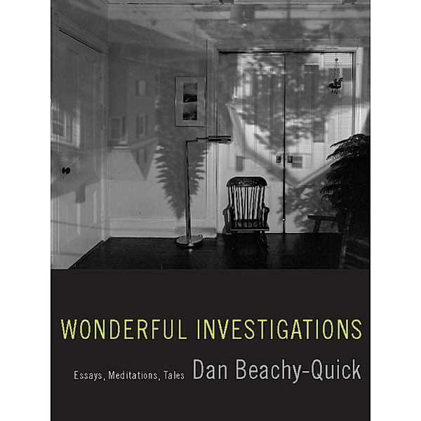 Wonderful Investigations, Dan Beachy-Quick
