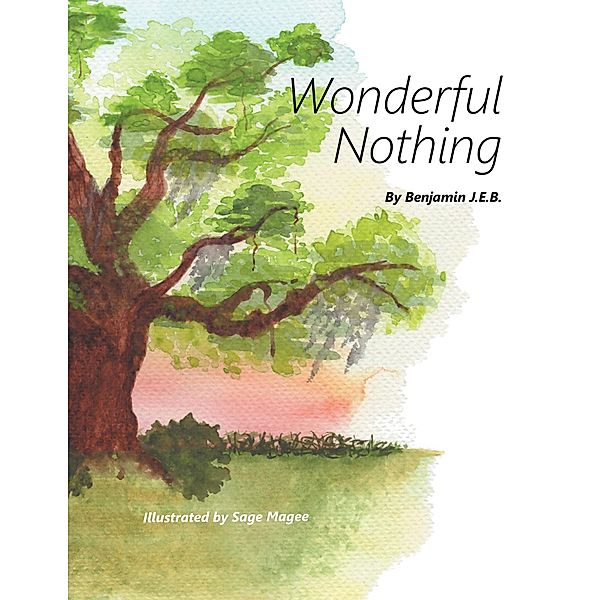 Wonderful Nothing, Benjamin J. E. B.