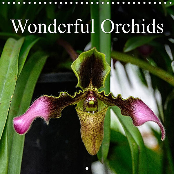 Wonderful Orchids (Wall Calendar 2023 300 × 300 mm Square), Juergen Woehlke