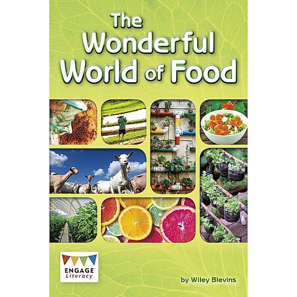 Wonderful World of Food / Raintree Publishers, Wiley Blevins