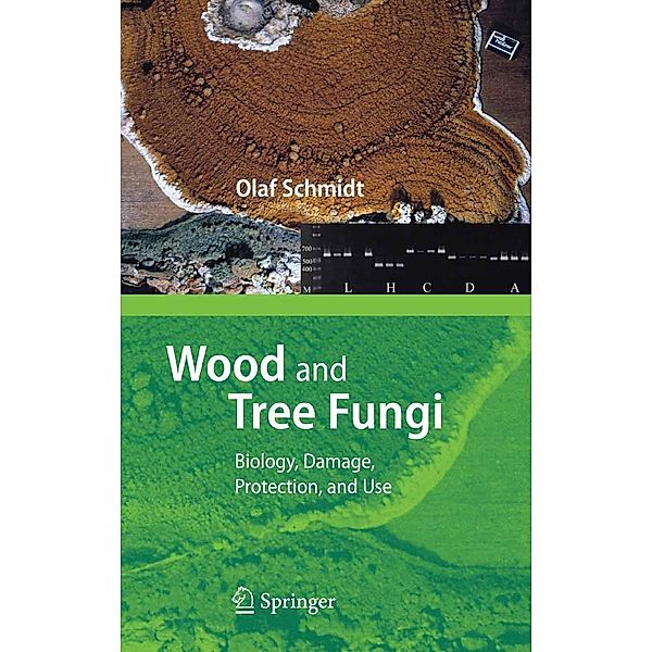Wood and Tree Fungi, Olaf Schmidt