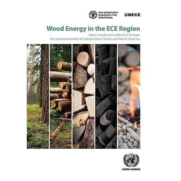 Wood Energy in the ECE Region