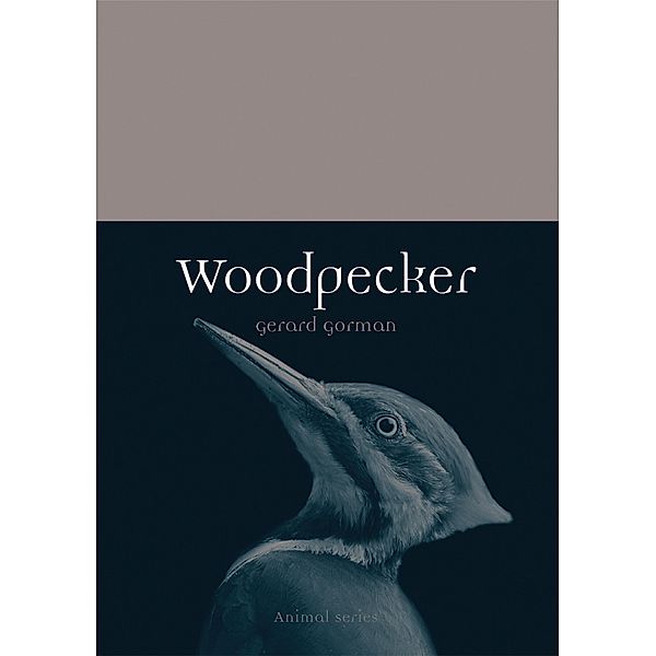 Woodpecker / Animal, Gorman Gerard Gorman