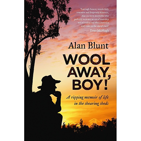 Wool Away, Boy! / Puffin Classics, Alan Blunt