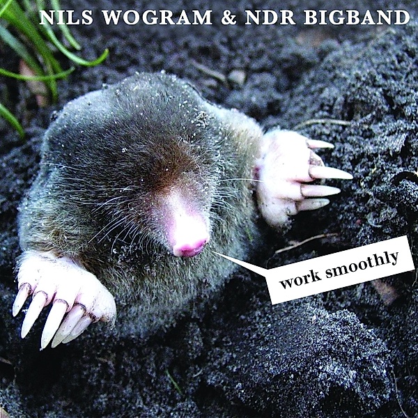 Work Smoothly, Nils Wogram, Ndr Bigband