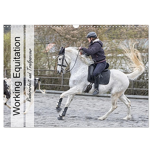Working Equitation (Wandkalender 2024 DIN A3 quer), CALVENDO Monatskalender, Marion Sixt