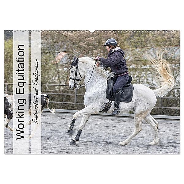 Working Equitation (Wandkalender 2025 DIN A2 quer), CALVENDO Monatskalender, Calvendo, Marion Sixt