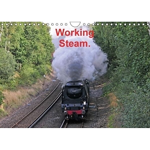 Working Steam. (Wall Calendar 2017 DIN A4 Landscape), Alan Holding.