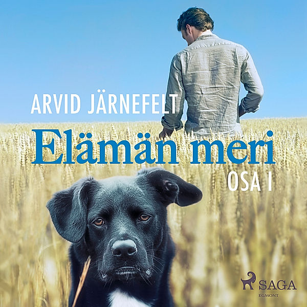 World Classics - Elämän meri, osa 1, Arvid Järnefelt