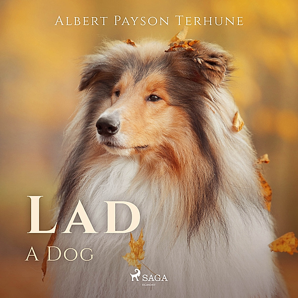 World Classics - Lad: A Dog, Albert Payson Terhune