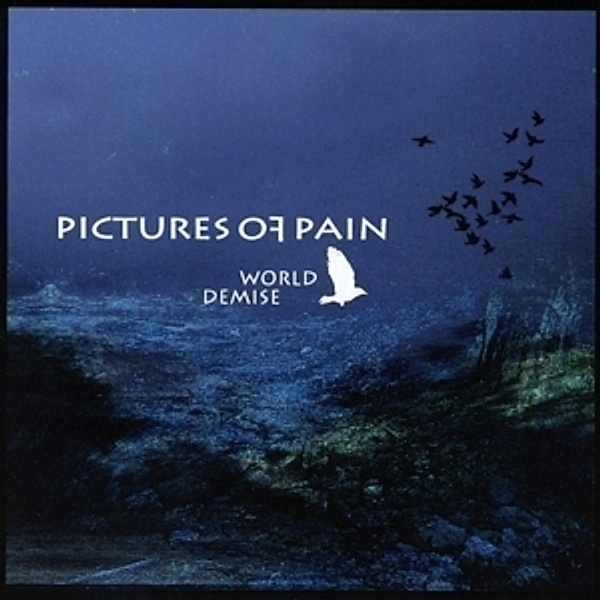 World Demise, Pictures of Pain