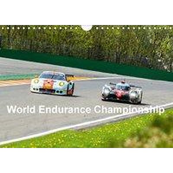 World Endurance Championship (Wandkalender 2018 DIN A4 quer), Dirk Stegemann