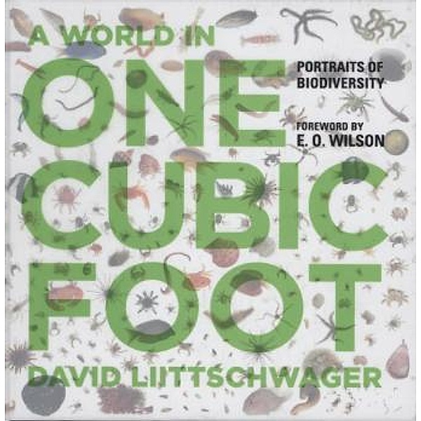 World in One Cubic Foot, David Liittschwager, E. O. Wilson, W. S. Dipiero