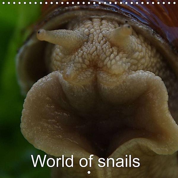 World of snails (Wall Calendar 2023 300 × 300 mm Square), Elken Schlüfter