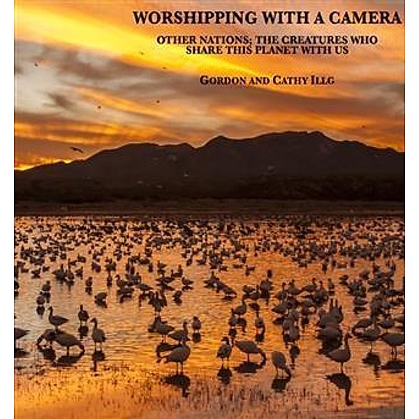 Worshipping with a Camera, Gordon Illg