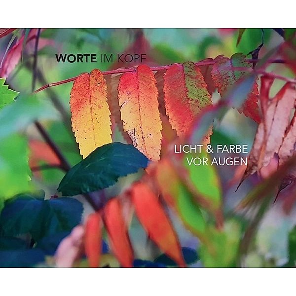 Worte im Kopf - Licht & Farbe vor Augen, Lea Andersson, Hanns Christian Roth