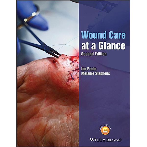 Wound Care at a Glance / Wiley Series on Cognitive Dynamic Systems, Ian Peate, Melanie Stephens