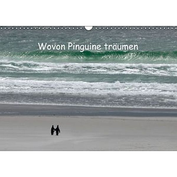 Wovon Pinguine träumen (Wandkalender 2015 DIN A3 quer), Rolf Skrypzak
