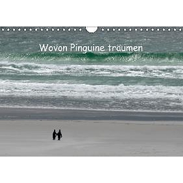 Wovon Pinguine träumen (Wandkalender 2016 DIN A4 quer), Rolf Skrypzak