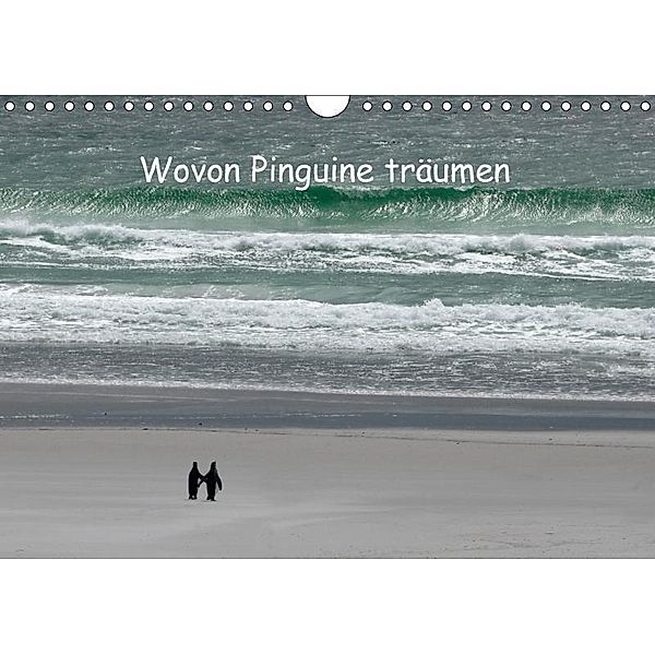 Wovon Pinguine träumen (Wandkalender 2017 DIN A4 quer), Rolf Skrypzak