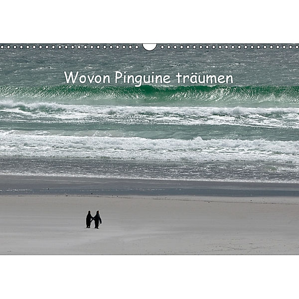 Wovon Pinguine träumen (Wandkalender 2019 DIN A3 quer), Rolf Skrypzak