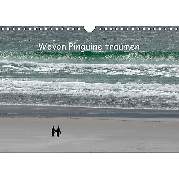 Wovon Pinguine träumen (Wandkalender 2019 DIN A4 quer), Rolf Skrypzak