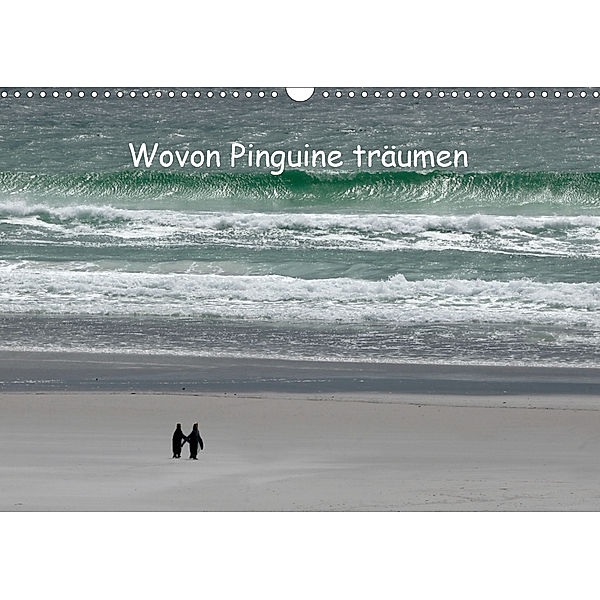 Wovon Pinguine träumen (Wandkalender 2020 DIN A3 quer), Rolf Skrypzak