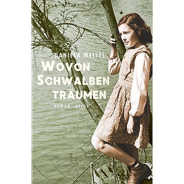 Wovon Schwalben träumen, Daniela Meisel