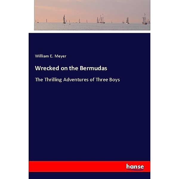 Wrecked on the Bermudas, William E. Meyer