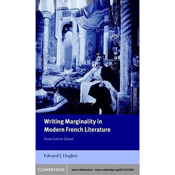 Writing Marginality in Modern French Literature, Edward J. Hughes