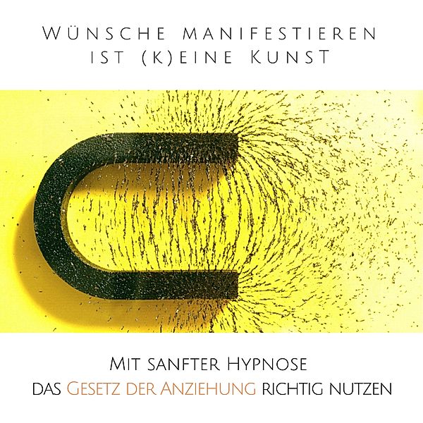 Wünsche manifestieren ist (k)eine Kunst - Das Gesetz der Resonanz entfesseln, Patrick Lynen