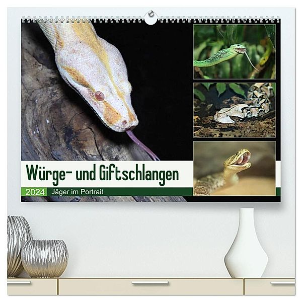 Würge- und Giftschlangen (hochwertiger Premium Wandkalender 2024 DIN A2 quer), Kunstdruck in Hochglanz, Calvendo