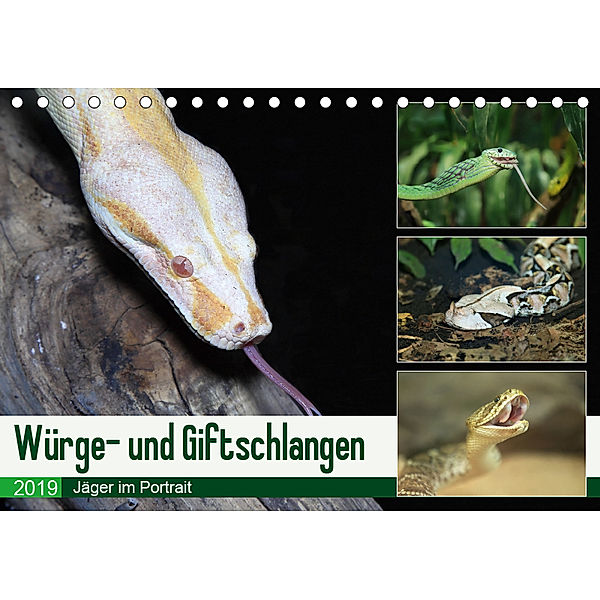 Würge- und Giftschlangen (Tischkalender 2019 DIN A5 quer), N N
