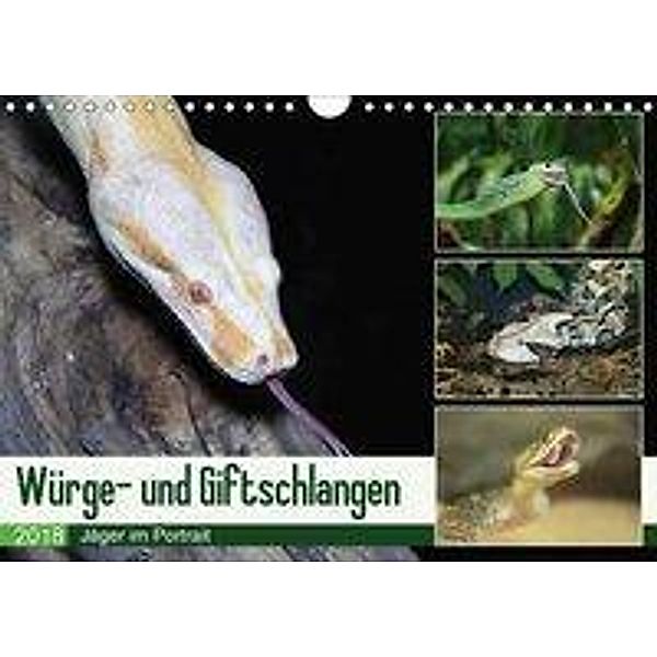 Würge- und Giftschlangen (Wandkalender 2018 DIN A4 quer), N N
