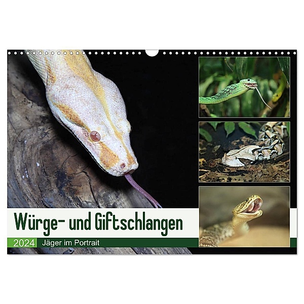 Würge- und Giftschlangen (Wandkalender 2024 DIN A3 quer), CALVENDO Monatskalender, Calvendo