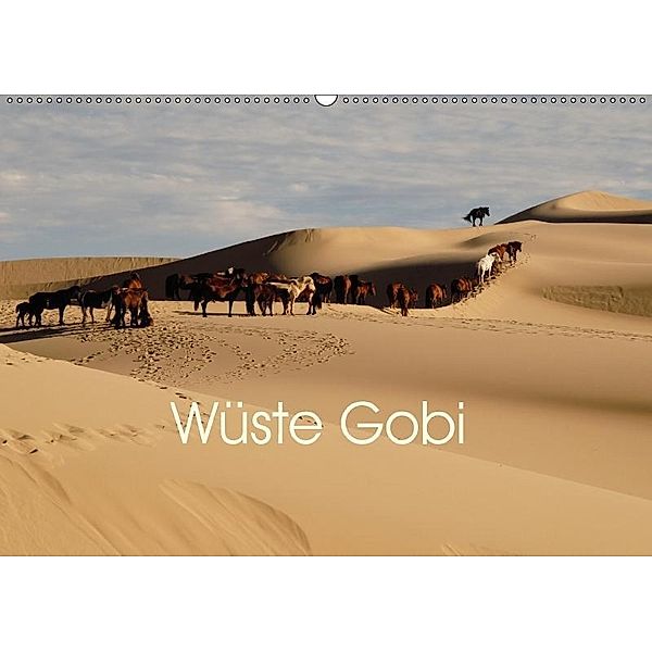 Wüste Gobi (Wandkalender 2017 DIN A2 quer), Eike Winter