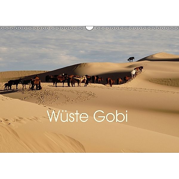 Wüste Gobi (Wandkalender 2018 DIN A3 quer) Dieser erfolgreiche Kalender wurde dieses Jahr mit gleichen Bildern und aktua, Eike Winter