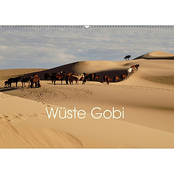 Wüste Gobi (Wandkalender 2019 DIN A2 quer), Eike Winter
