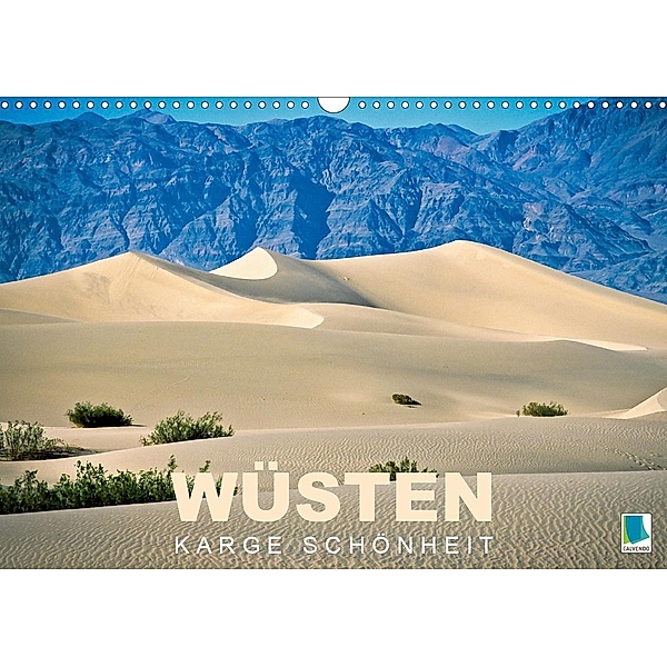 Wüsten - karge Schönheit (Wandkalender 2021 DIN A3 quer), Calvendo