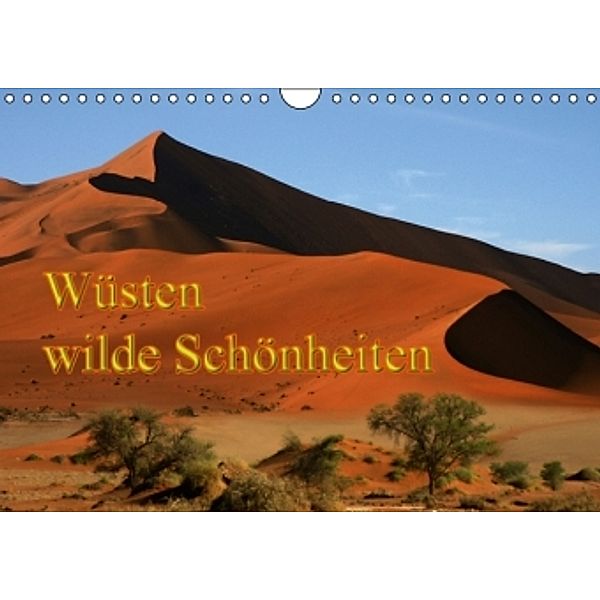 Wüsten, wilde Schönheiten (Wandkalender 2016 DIN A4 quer), Erika Müller