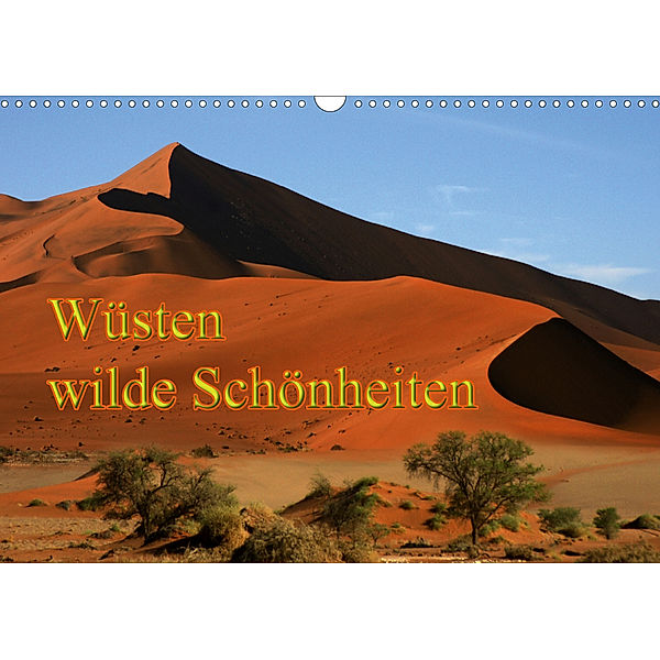Wüsten, wilde Schönheiten (Wandkalender 2020 DIN A3 quer), Erika Müller