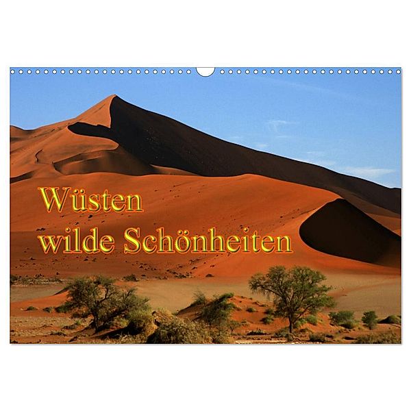Wüsten, wilde Schönheiten (Wandkalender 2024 DIN A3 quer), CALVENDO Monatskalender, Erika Müller