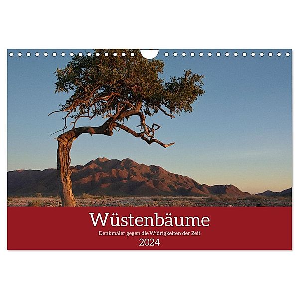Wüstenbäume (Wandkalender 2024 DIN A4 quer), CALVENDO Monatskalender, Heiko Wolf