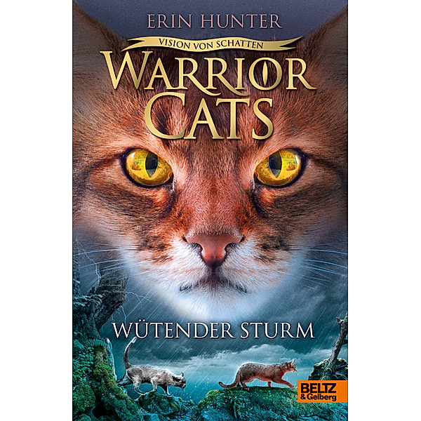 Wütender Sturm / Warrior Cats Staffel 6 Bd.6, Erin Hunter
