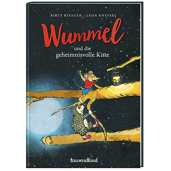 Wummel und die geheimnisvolle Kiste / Wummel Bd. 1, Birte Kiesgen