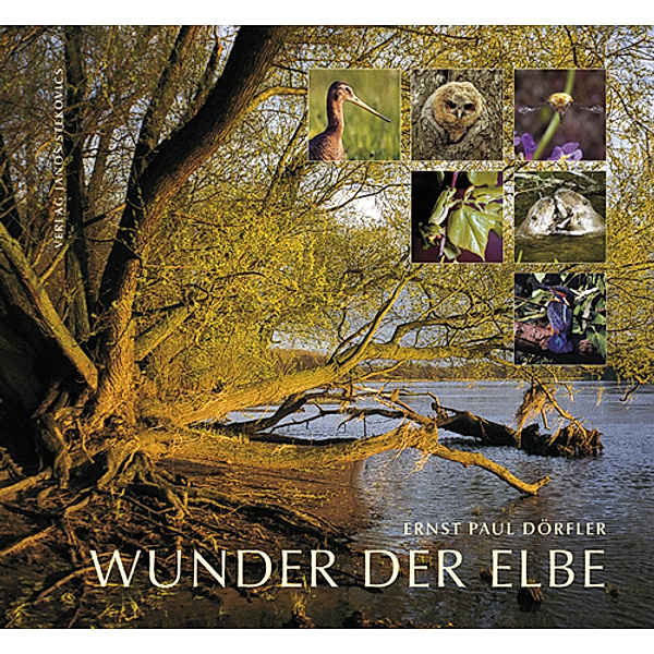 Wunder der Elbe, Ernst P. Dörfler