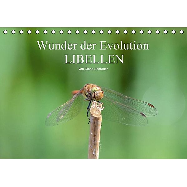 Wunder der Evolution Libellen (Tischkalender 2020 DIN A5 quer), Diana Schröder